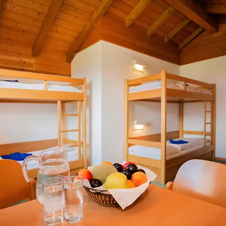 旅馆 滨湖采尔尤格斯酒店 *