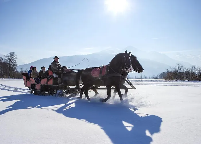 Junges Zell Am Albergue